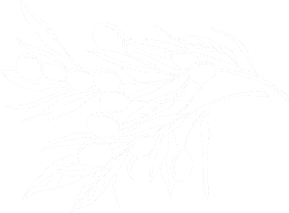 Olidaqui Huile D'olives